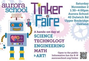 11/2: Aurora School Tinker Faire (oakland rockridge / claremont)