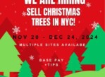 Sell Christmas Trees in NYC (Manhattan) Fresh Trees