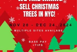 Sell Christmas Trees in NYC (Manhattan) Fresh Trees